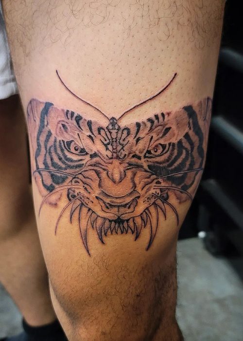 Image of Tiger Butterfly Tattoo